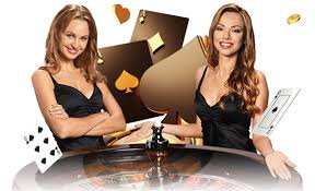 8855bet bet