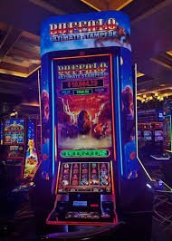 8855bet bet